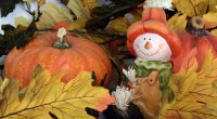 There will be multiple Halloween celebrations at Seaforth – October 31st:    Orange & Black or Costume Day If your child’s class is having a Halloween party that involves the sharing […]